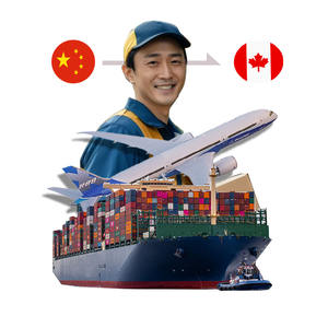 <span class=keywords><strong>LCL</strong></span> + Express продукт с DDP дешевая воздушная или морская доставка в США или Канаду - Product Image 6