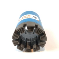 Broca de Diamante Impregnada de Longyear Gold Supplier, Broca Tricónica con Botón, Escariador, Herramienta de Perforación Longyear, Forjada