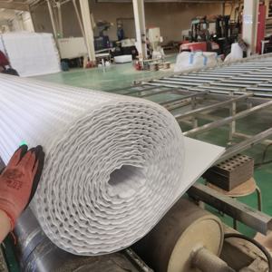 Tapis <span class=keywords><strong>de</strong></span> drainage alvéolé en géocomposite avec tissu filtrant pour l'étanchéité des murs en dessous du niveau du sol - Product Image 1