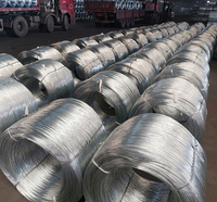 Fil de fer galvanisé à chaud coupé, prix abordable, fourni par l'usine, Alambre Galvanized Wire