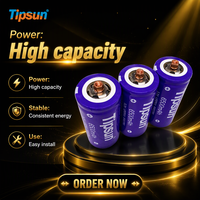 Cellule au phosphate de fer et de lithium Tipsun 32700 3.2V 6500mAh de qualité supérieure, neuve, à tension stable pour l'assemblage de batteries de vélos électriques