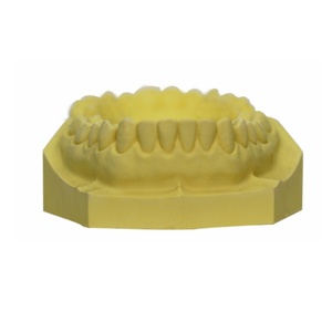 แบบจำลองฟันปูนปลาสเตอร์สำหรับการศึกษาทาง<span class=keywords><strong>ท</strong></span>ันตกรรมแบบเต็มปาก สำหรับการฝึกฝนการแกะสลักและฝึกปฏิบัติทาง<span class=keywords><strong>ท</strong></span>ันตกรรม - Product Image 5