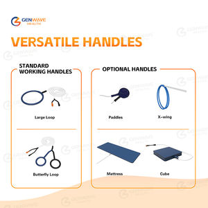 24700 Pemf Gauss Pemf Therapy dispositivo per terapia con cavalli facile da usare per apparecchi per raschiare il dolore muscolare - Product Image 4