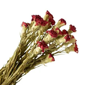Цветочный декор, оптовая продажа, дешевый токарный токарь, сушеный цветок, красный гвоздик, букет, цветок для цветочной композиции