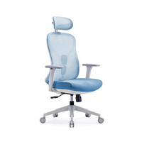 Chaise de bureau ergonomique moderne en maille avec double soutien lombaire, accoudoirs réglables en hauteur pour la maison et le bureau