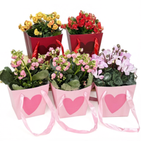 Sac de transport en papier/plastique écologique avec poignée, motif cœur, pour bouquets, centres commerciaux, Saint-Valentin