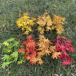 ดอกไม้ประดิษฐ์ใบเมเปิ้ลรูปทรงกรงเล็บไก่ กิ่งก้านตกแต่งงานแต่งงาน สีแดงเหลือง 60 ซม. - Product Image 3