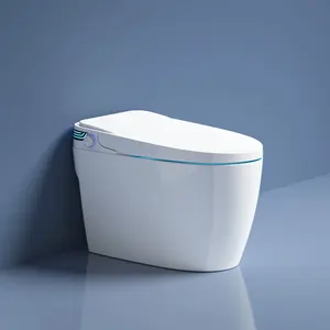 Inodoro Con Bidet Incorporado Toilette Marchandises sanitaires intelligentes Wc Toilette automatique avec télécommande