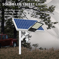 Las Mejores Luces Solares para Carreteras de 300W-1000W, Luces Exteriores de Película Delgada, Alimentadas por Batería de 6000mWH, Clasificación IP65, Control Remoto, Certificación CE, Regulables