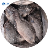 Tilapia congelé Niloticus Poisson congelé Fruits de mer Tilapia noir nettoyé éviscéré à l'échelle