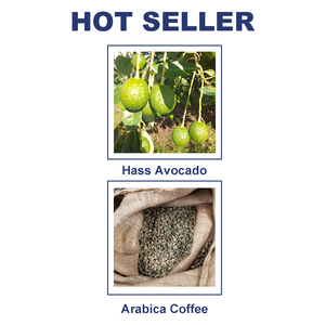 Semillas de Sésamo Crudas Secas Orgánicas de Tanzania de Grado de Exportación, Libres de Aflatoxinas, Seguras para el Consumo Humano - Product Image 4