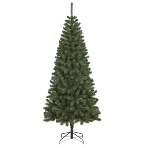 Sapin de Noël kényan, 180 cm de haut - Product Image 1