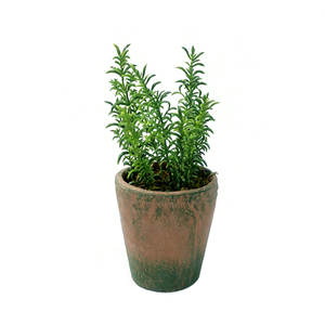 Planta Artificial Decorativa en Maceta <span class=keywords><strong>de</strong></span> Cemento, Tomillo, Follaje Decorativo para el Hogar u Oficina, Estilo Rústico Encantador - Product Image 1