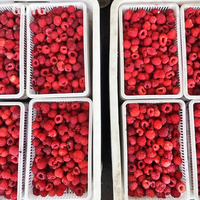 Exportprijs Chinese vruchten voor smoothies en desserts/Topkwaliteit Beste prijs Gehele diepvriesvruchten Groothandel Verse IQF Diepvriesframbozen