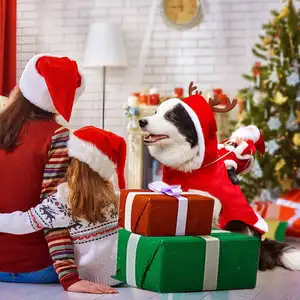 Şapka noel baba ile noel köpek giysileri, köpek kostüm giyim noel aksesuar sıcak Pet köpek giysileri