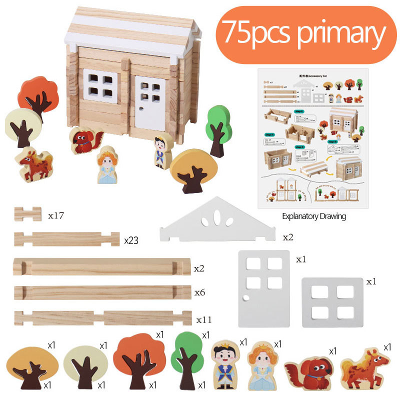Modèle primaire 75 pièces