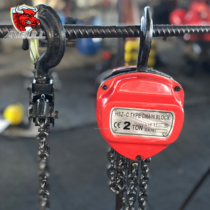 Ambull nhà máy ODM OEM 2 tấn 3 tấn <span class=keywords><strong>20</strong></span> tấn quan trọng chuỗi khối quan trọng Hướng dẫn sử dụng chuỗi khối Palăng với công nghệ xử lý chính xác - Product Image 4