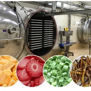 Lyophilizer Ice Cream Freeze Dryer Snack Machine Crispy Fruits Equipment