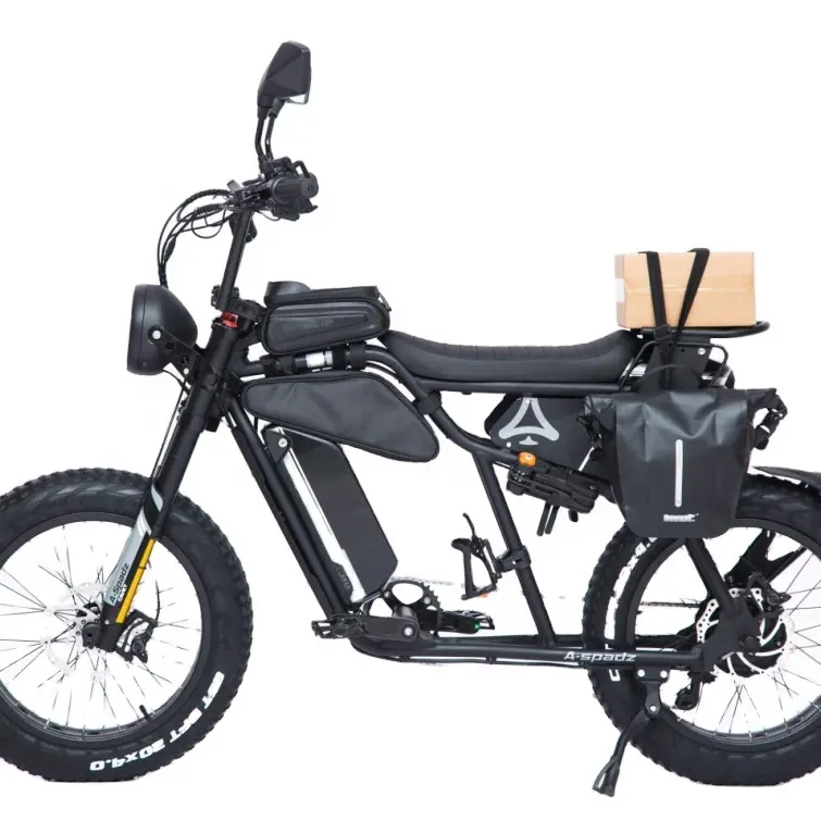 Vélo électrique vente directe d'usine vélo électrique noir à gros pneus double batterie vélo électrique chopper puissant