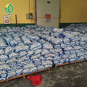 China <strong>Garlic</strong> Harvest White <strong>Onion</strong> /<strong>onions</strong> Red/<strong>onion</strong> Buyers - Product Image 3