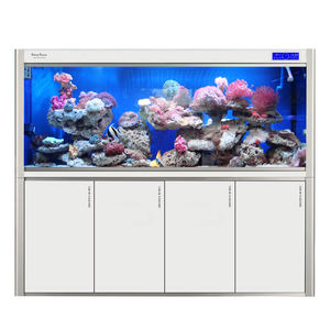 Petit <span class=keywords><strong>aquarium</strong></span> tropical à filtre supérieur série R-310 réservoir rectangulaire en plexiglas 240L réservoir de poissons d'été pour la décoration intérieure pour le salon - Product Image 5