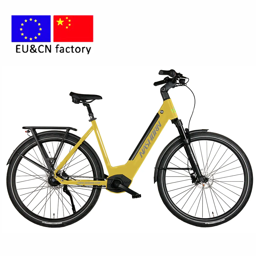 28 Inch Legering Holland Lady Ebike Urban Woman Ce Ebike Aldut Elektrische Stadsfiets