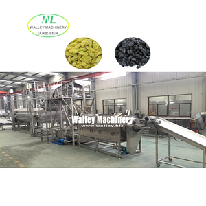 Nhà Máy Giá Cung Cấp Tự Động Màu Xanh Lá Cây Nho Khô Rửa Và Khử Nước Dây Chuyền Sản Xuất Raisin Máy Chế Biến - Product Image 1