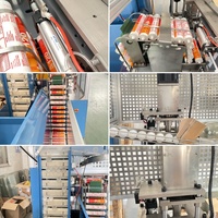 Machine de capsulage remplissante de cartouche automatique Offre Spéciale de mastic de silicone