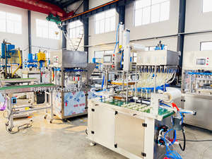 Fabricant de machines d'emballage automatiques pour capsules de détergent liquide en film soluble dans l'eau PVA - Product Image 4