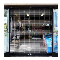 Volet roulant motorisé de conception moderne en gros, performance stable, grille en acier inoxydable et aluminium pour porte de magasin, antivol