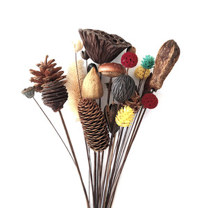 Nouvelles idées de produits 2025 <span class=keywords><strong>Auchentoshan</strong></span> feuilles d'eucalyptus pommes de pin Lotus coton fleurs séchées fleur sèche pour diffuseur d'aromathérapie - Product Image 1