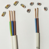 1,5mm 2,5mm gris BVVB RVVB TPS tierra Cable plano cobre sólido PVC 2 núcleos tipo desnudo rollo doble Cable plano 3 núcleo escudo 100M Moq