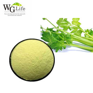 セロリ粉末アピゲニンエキス98% 食品グレード植物エキスドラム包装工場直送 - Product Image 6