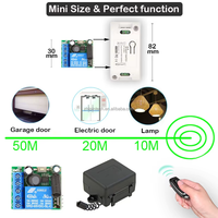 Interrupteur télécommandé RF 433 MHz, récepteur relais 1 canal, émetteur 2 boutons, DC 12V/24V/30V, code d'apprentissage pour porte de garage, mini