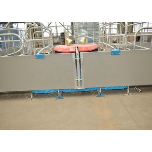 Jaula de Parto para Cerdas Nueva a Precio de Fábrica, Acero Galvanizado en Caliente Anticorrosión, Vida Útil de 15-25 Años, Sistema de Alimentación Totalmente Automático - Product Image 4