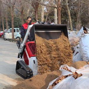 Envío Gratis, Minicargadora Frontal Económica, Motor de Gasolina EPA EURO5, Caja de Cambios PLC, Bomba, Rodamientos, Orugas, 1 Año de Garantía en el Motor - Product Image 6