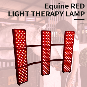 Dispositivo Asistente de terapia de luz roja para Granero equino <span class=keywords><strong>LED</strong></span> Horse <span class=keywords><strong>Solarium</strong></span> con termómetro Sunbath Horse Daylight Simulator - Product Image 3