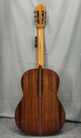 China Handcraft Made Aiersi Brand High End Grade Gloss Solid Cedar Top Indian Rosewood Vintage Nylon String Classical Guitar