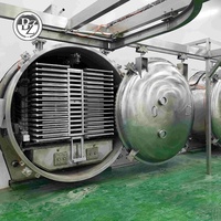 GYFD-100 ㎡   Vacuümvriesdroger voor groenten en fruit, automatische fruitvriesdroogmachine/vriesdroger prijs