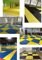 Bester Gymnastik boden Zweifarbiger Wrestling-Teppich Zwei schicht ige Kampfsport matte Eva Taekwondo Mats