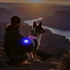 Kunden spezifisches leichtes leichtes Hunde geschirr Wiederauf lad bares No-Pull-LED-Hunde geschirr mit abnehmbarer Licht box, Airtag-Halter - Product Image 6