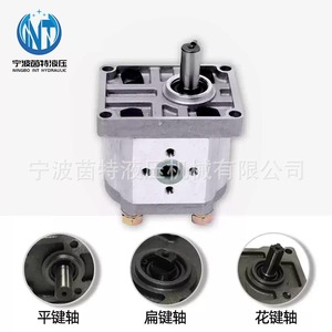 Pompe hydraulique à engrenages Ningbo Int CBN-F310 350 bars, 1 étage, corps en alliage d'aluminium, engrenages en fonte, 2 CV, pompe hydraulique rotative - Product Image 1