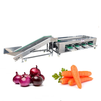 Roller Sizer Cherry Tomatensorteermachine Fruit- en groenteclassificeermachine Ball Fruit Roller Sorteermachine in de aanbieding