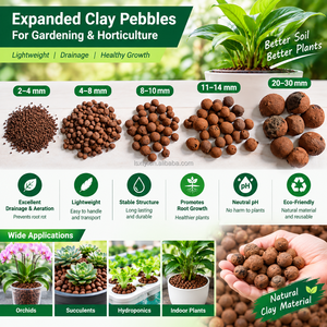 Billes <span class=keywords><strong>d</strong></span>'argile expansée LECA, léger et poreux, support de culture pour hydroponie et jardinage - Product Image 2