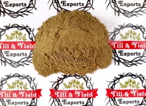 Chất lượng cao Ấn Độ Moringa oleifera lá bột Moringa oleifera nguyên chất và tự nhiên nguyên bột - Product Image 4