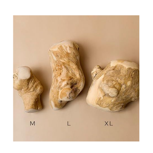 ของเล่นเคี้ยวสำหรับสุนัขทำจากไม้กาแฟ จากผู้ผลิตเวียดนาม ของเล่นเคี้ยวธรรมชาติ ช่วยฝึกสุนัขและดูแลสุขภาพช่องปาก ราคาถูก - Product Image 5