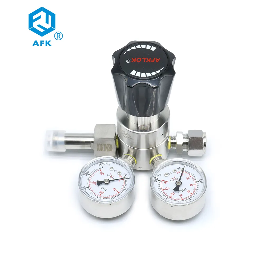 Azoto SS316 8MM OD valvola regolatore di pressione co2 doppio calibro 3000PSI per la regolazione della pressione del Gas per uso industriale