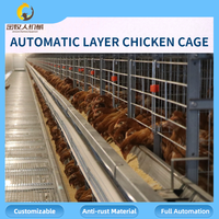 Vente en gros de cages automatiques pour poules pondeuses, équipement d'élevage avicole, vente directe d'usine, 90-160 oiseaux par cage, personnalisable