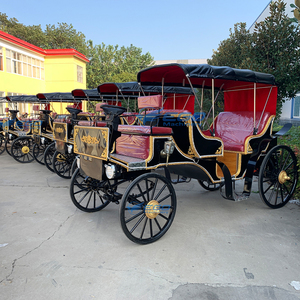 Noble Customizable <b>Rows</b> Seat Sightseeing Victoria Horse-drawn Carriage Historic Royal Electric Wedding Carriage for Sale - Product Image 6
