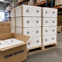 Module en fibre céramique blanche haute résistance 1000°C, bloc d'isolation thermique réfractaire, taille personnalisable pour four industriel